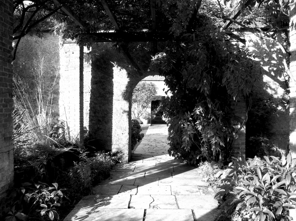 Bois des moutiers fall 2012 (82)